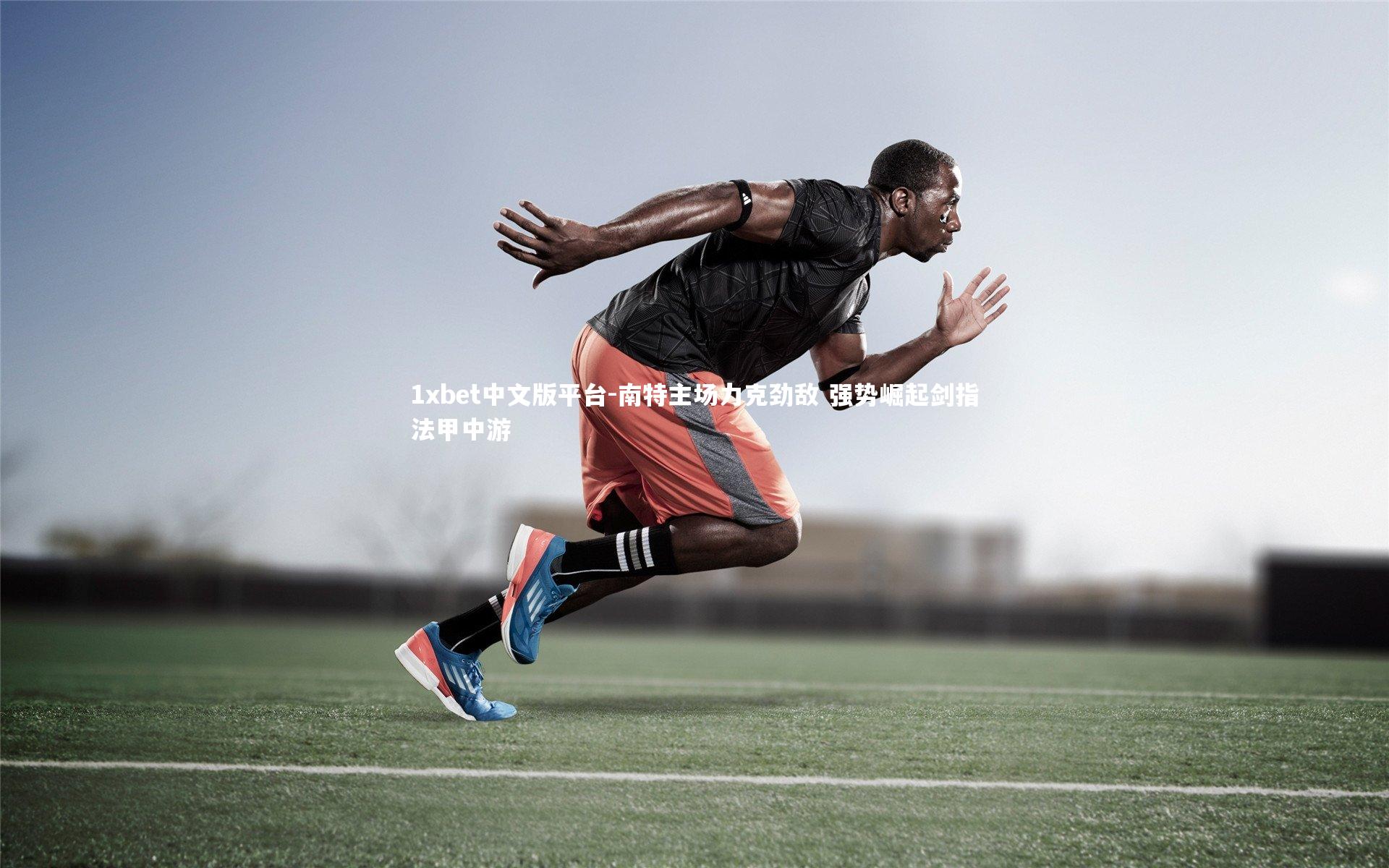 南特主场力克劲敌 强势崛起剑指法甲中游